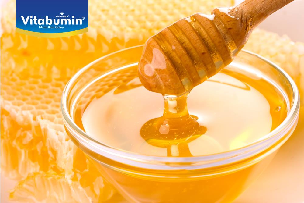 Suka Konsumsi Madu? Yuk Perhatikan Hal Berikut !